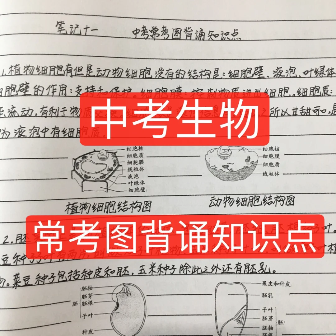 九阴真经团练怎么玩_九阴真经团练一次多少灌注_九阴真经团练视频