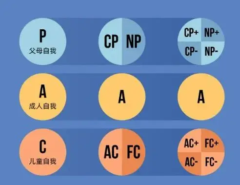 关系图法的含义是什么_关系图法_卡勒特的组织关系图